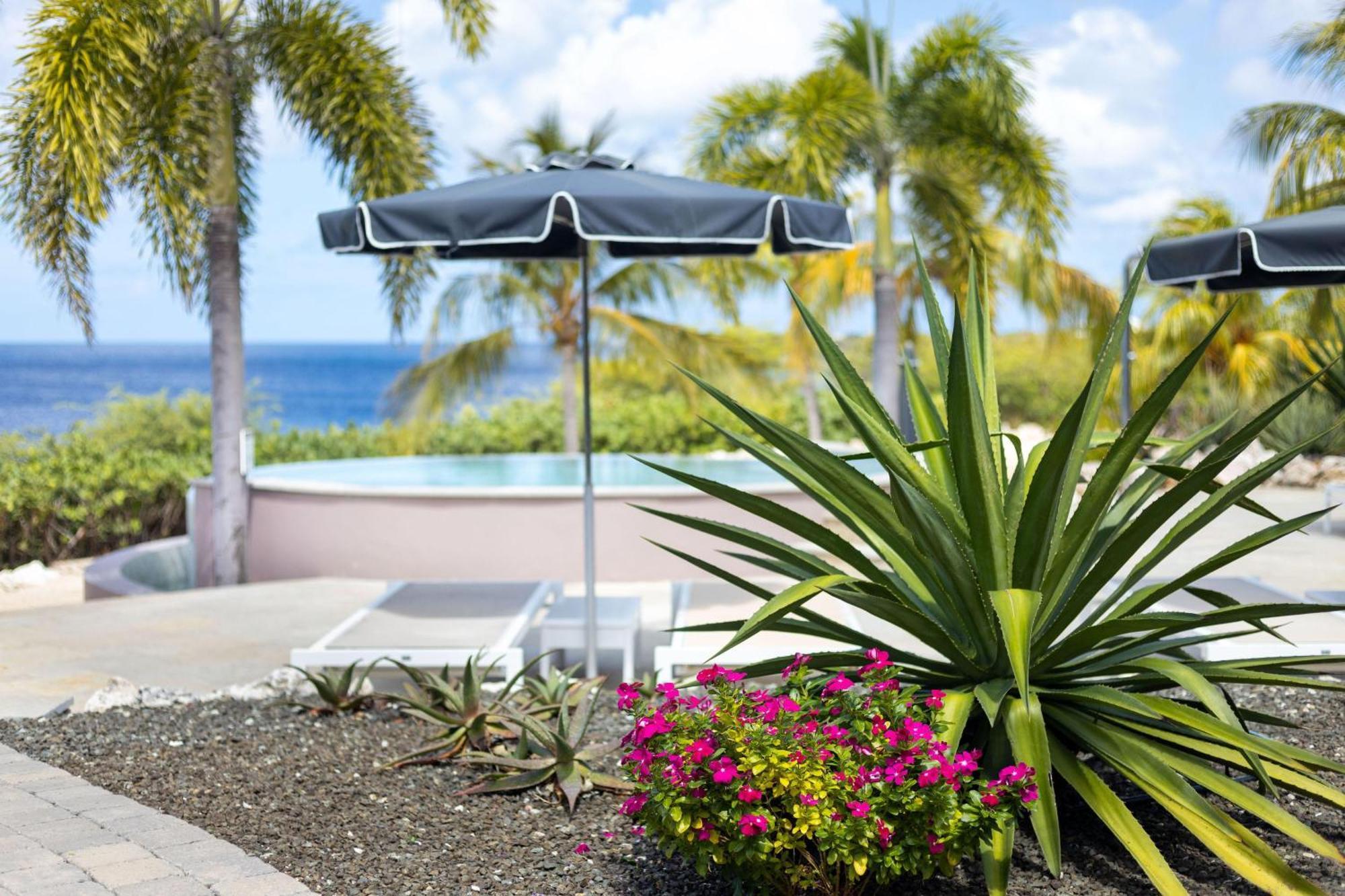 Coral Estate Luxury Resort Willibrordus Eksteriør billede